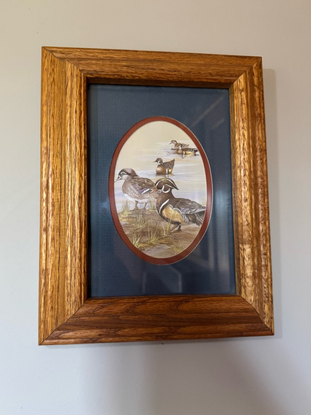 Vintage Duck Illustration Wall Art - Brown Frame, Blue Mat